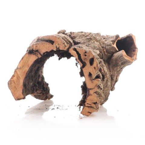 Kora z Dębu Korkowego - na wagę Terrario Kora z Dębu Korkowego - na wagę Terrario