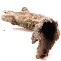 Kora z Dębu Korkowego - na wagę Terrario Kora z Dębu Korkowego - na wagę Terrario