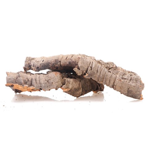 Kora z Dębu Korkowego - na wagę Terrario Kora z Dębu Korkowego - na wagę Terrario