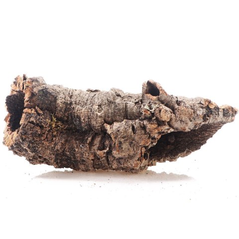 Kora z Dębu Korkowego - na wagę Terrario Kora z Dębu Korkowego - na wagę Terrario