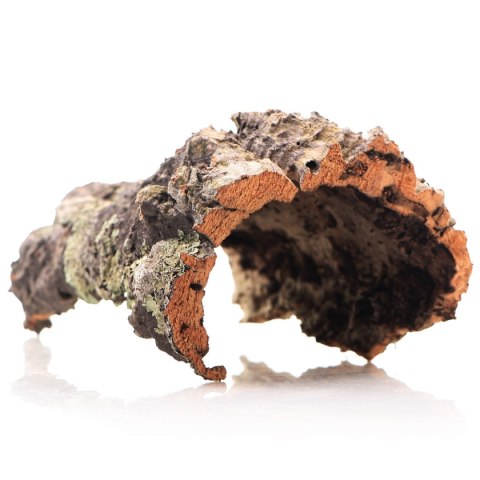 Kora z Dębu Korkowego - na wagę Terrario Kora z Dębu Korkowego - na wagę Terrario