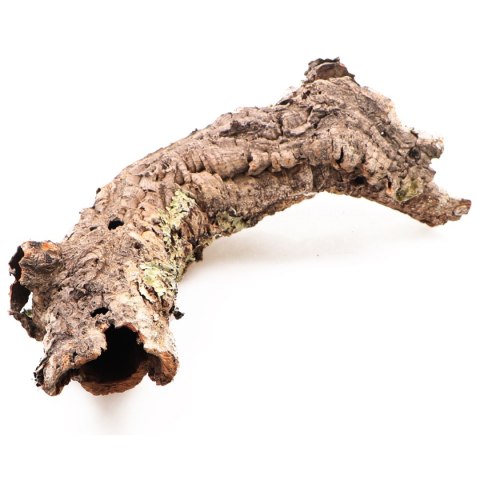 Kora z Dębu Korkowego - na wagę Terrario Kora z Dębu Korkowego - na wagę Terrario