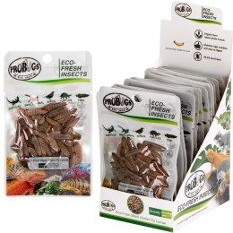 ProBugs Eco-Fresh Black Solider Fly Larvae 15 x 20g - świeże larwy muchy czarnej 15 saszetek ProBugs