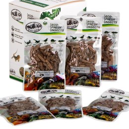 ProBugs Eco-Fresh Black Solider Fly Larvae 15 x 20g - świeże larwy muchy czarnej 15 saszetek ProBugs