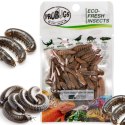 ProBugs Eco-Fresh Black Solider Fly Larvae 15 x 20g - świeże larwy muchy czarnej 15 saszetek ProBugs
