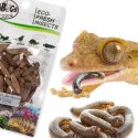 ProBugs Eco-Fresh Black Solider Fly Larvae 15 x 20g - świeże larwy muchy czarnej 15 saszetek ProBugs