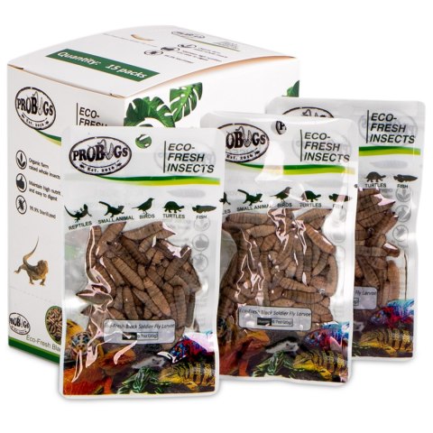 ProBugs Eco-Fresh Black Solider Fly Larvae 20g - świeże larwy muchy czarnej ProBugs ProBugs Eco-Fresh Black Solider Fly Larvae 20g - świeże larwy muchy czarnej ProBugs