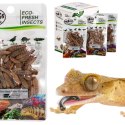 ProBugs Eco-Fresh Black Solider Fly Larvae 20g - świeże larwy muchy czarnej ProBugs