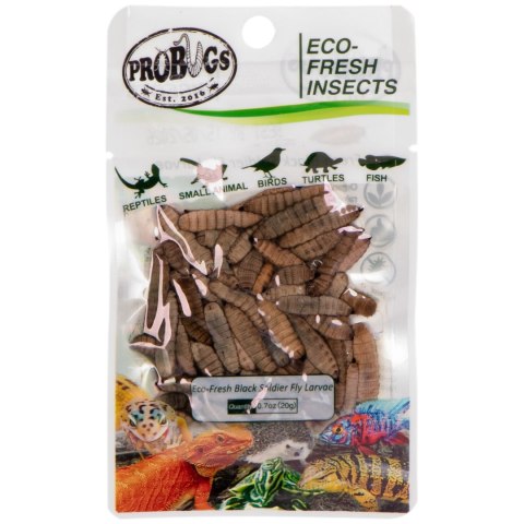 ProBugs Eco-Fresh Black Solider Fly Larvae 20g - świeże larwy muchy czarnej ProBugs ProBugs Eco-Fresh Black Solider Fly Larvae 20g - świeże larwy muchy czarnej ProBugs