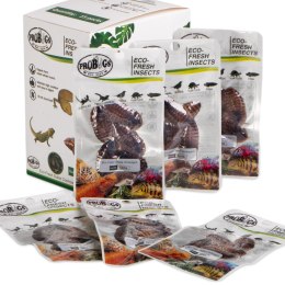 ProBugs Eco-Fresh Dubia Cockroach 15 x 5pcs - świeże karaczany argentyńskie 15 saszetek ProBugs