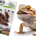 ProBugs Eco-Fresh Dubia Cockroach 15 x 5pcs - świeże karaczany argentyńskie 15 saszetek ProBugs