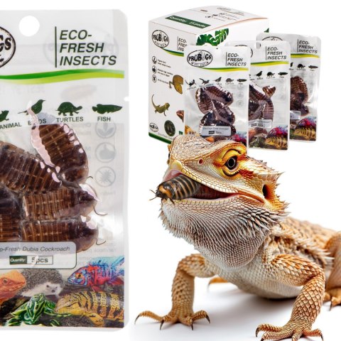 ProBugs Eco-Fresh Dubia Cockroach 15 x 5pcs - świeże karaczany argentyńskie 15 saszetek ProBugs ProBugs Eco-Fresh Dubia Cockroach 15 x 5pcs - świeże karaczany argentyńskie 15 saszetek ProBugs