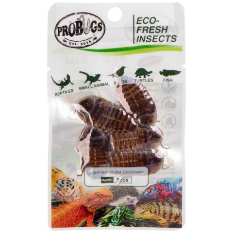 ProBugs Eco-Fresh Dubia Cockroach 15 x 5pcs - świeże karaczany argentyńskie 15 saszetek ProBugs ProBugs Eco-Fresh Dubia Cockroach 15 x 5pcs - świeże karaczany argentyńskie 15 saszetek ProBugs