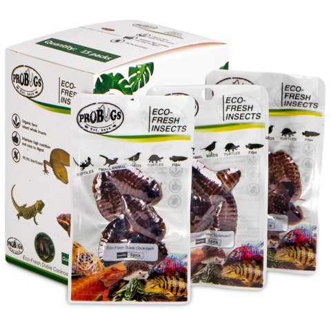 ProBugs Eco-Fresh Dubia Cockroach 5pcs - świeże karaczany argentyńskie ProBugs ProBugs Eco-Fresh Dubia Cockroach 5pcs - świeże karaczany argentyńskie ProBugs
