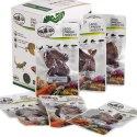 ProBugs Eco-Fresh Dubia Cockroach 5pcs - świeże karaczany argentyńskie ProBugs