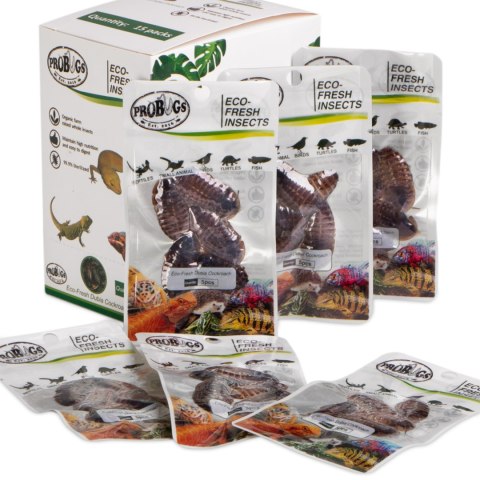 ProBugs Eco-Fresh Dubia Cockroach 5pcs - świeże karaczany argentyńskie ProBugs ProBugs Eco-Fresh Dubia Cockroach 5pcs - świeże karaczany argentyńskie ProBugs