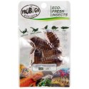 ProBugs Eco-Fresh Dubia Cockroach 5pcs - świeże karaczany argentyńskie ProBugs