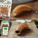 ProBugs Eco-Fresh Grasshopper 15 x 8pcs - świeże koniki polne 15 saszetek