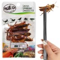 ProBugs Eco-Fresh Grasshopper 15 x 8pcs - świeże koniki polne 15 saszetek