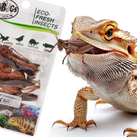 ProBugs Eco-Fresh Grasshopper 15 x 8pcs - świeże koniki polne 15 saszetek ProBugs Eco-Fresh Grasshopper 15 x 8pcs - świeże koniki polne 15 saszetek