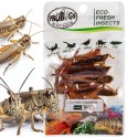 ProBugs Eco-Fresh Grasshopper 8pcs - świeże koniki polne ProBugs