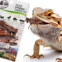 ProBugs Eco-Fresh Grasshopper 8pcs - świeże koniki polne ProBugs