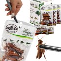 ProBugs Eco-Fresh Grasshopper 8pcs - świeże koniki polne ProBugs