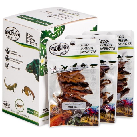 ProBugs Eco-Fresh Grasshopper 8pcs - świeże koniki polne ProBugs ProBugs Eco-Fresh Grasshopper 8pcs - świeże koniki polne ProBugs