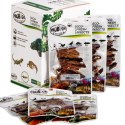ProBugs Eco-Fresh Grasshopper 8pcs - świeże koniki polne ProBugs