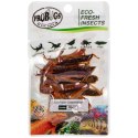 ProBugs Eco-Fresh Grasshopper 8pcs - świeże koniki polne ProBugs