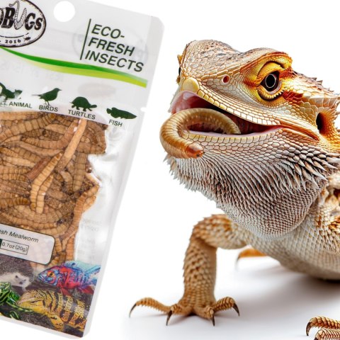 ProBugs Eco-Fresh Mealworm 15 x 20g - świeże larwy mącznika 15 saszetek ProBugs Eco-Fresh Mealworm 15 x 20g - świeże larwy mącznika 15 saszetek