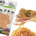 ProBugs Eco-Fresh Riceworm 15g - świeże larwy muchy ProBugs