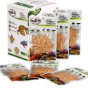 ProBugs Eco-Fresh Riceworm 15g - świeże larwy muchy ProBugs