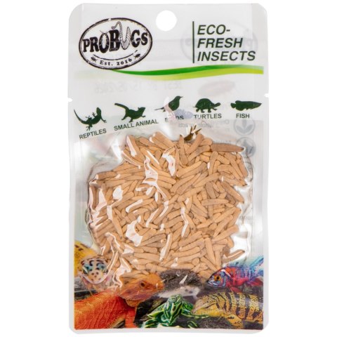 ProBugs Eco-Fresh Riceworm 15g - świeże larwy muchy ProBugs ProBugs Eco-Fresh Riceworm 15g - świeże larwy muchy ProBugs