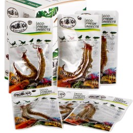 ProBugs Eco-Fresh Scolopendra Centipede 15 x 2pcs - świeże skolopendry 15 saszetek ProBugs