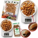 ProBugs Eco-Fresh Scolopendra Centipede 15 x 2pcs - świeże skolopendry 15 saszetek ProBugs