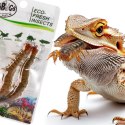 ProBugs Eco-Fresh Scolopendra Centipede 15 x 2pcs - świeże skolopendry 15 saszetek ProBugs