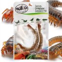 ProBugs Eco-Fresh Scolopendra Centipede 15 x 2pcs - świeże skolopendry 15 saszetek ProBugs