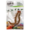 ProBugs Eco-Fresh Scolopendra Centipede 15 x 2pcs - świeże skolopendry 15 saszetek ProBugs