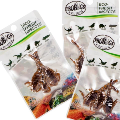 ProBugs Eco-Fresh Scorpion 15 x 3pcs - świeże skorpiony 15 saszetek ProBugs ProBugs Eco-Fresh Scorpion 15 x 3pcs - świeże skorpiony 15 saszetek ProBugs