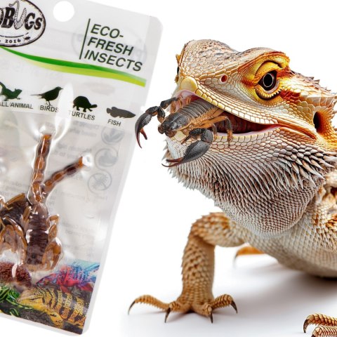 ProBugs Eco-Fresh Scorpion 15 x 3pcs - świeże skorpiony 15 saszetek ProBugs ProBugs Eco-Fresh Scorpion 15 x 3pcs - świeże skorpiony 15 saszetek ProBugs