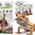 ProBugs Eco-Fresh Scorpion 15 x 3pcs - świeże skorpiony 15 saszetek ProBugs