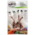 ProBugs Eco-Fresh Scorpion 15 x 3pcs - świeże skorpiony 15 saszetek ProBugs