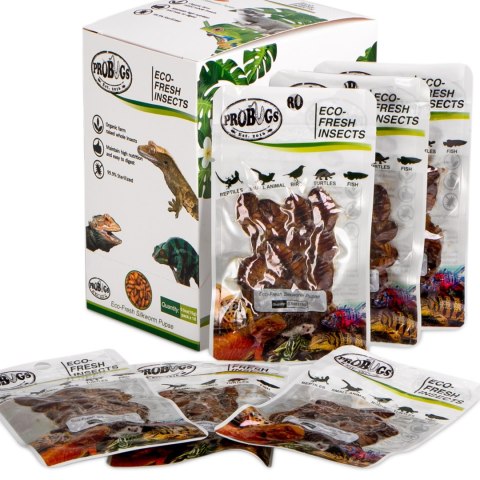 ProBugs Eco-Fresh Silkworm 15 x 15g - świeże larwy jedwabnika 15 saszetek ProBugs ProBugs Eco-Fresh Silkworm 15 x 15g - świeże larwy jedwabnika 15 saszetek ProBugs