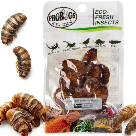 ProBugs Eco-Fresh Silkworm 15 x 15g - świeże larwy jedwabnika 15 saszetek ProBugs ProBugs Eco-Fresh Silkworm 15 x 15g - świeże larwy jedwabnika 15 saszetek ProBugs