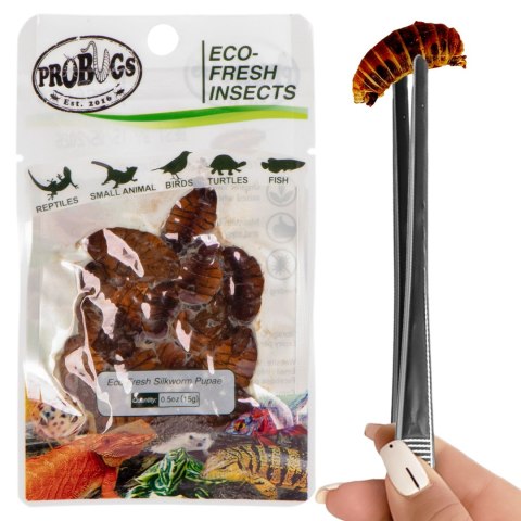 ProBugs Eco-Fresh Silkworm 15 x 15g - świeże larwy jedwabnika 15 saszetek ProBugs ProBugs Eco-Fresh Silkworm 15 x 15g - świeże larwy jedwabnika 15 saszetek ProBugs