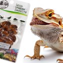 ProBugs Eco-Fresh Silkworm 15 x 15g - świeże larwy jedwabnika 15 saszetek ProBugs