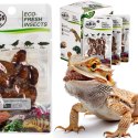 ProBugs Eco-Fresh Silkworm 15 x 15g - świeże larwy jedwabnika 15 saszetek ProBugs