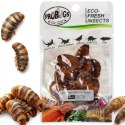 ProBugs Eco-Fresh Silkworm 15g - świeże larwy jedwabnika ProBugs