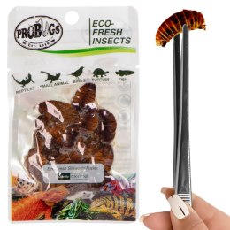 ProBugs Eco-Fresh Silkworm 15g - świeże larwy jedwabnika ProBugs